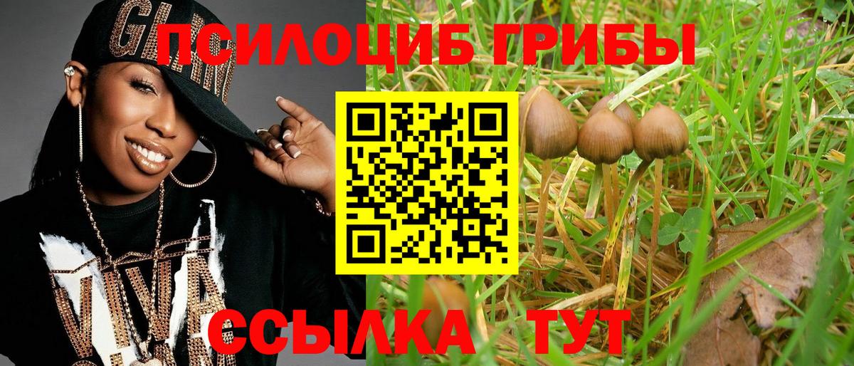 Псилоцибиновые грибы прущие грибы Кызыл